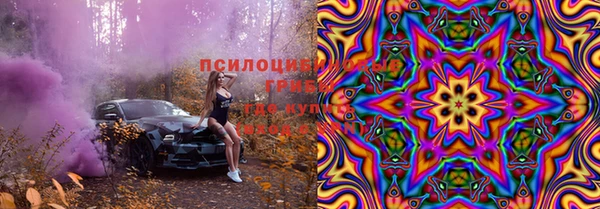 ГАЛЛЮЦИНОГЕННЫЕ ГРИБЫ Алексин