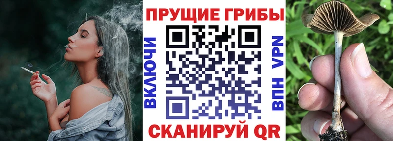 Галлюциногенные грибы Cubensis  что такое   маркетплейс состав  Бирюч 